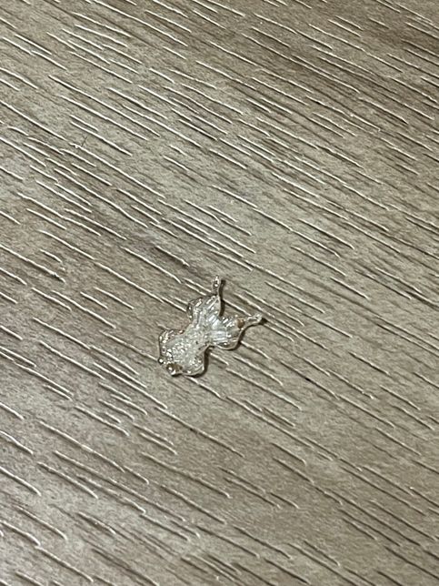 네일파츠인데 이 모양은 무슨 모양인가요??의 1번 째 이미지