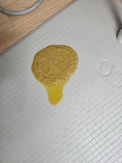 강아지 산책하다 길에서 닭고기같은걸 먹었는데 토했어요의 0번 째 이미지