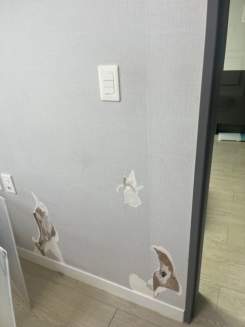 전세집 퇴실할 때 원상복구 가능한 분 계신가요?의 1번 째 이미지