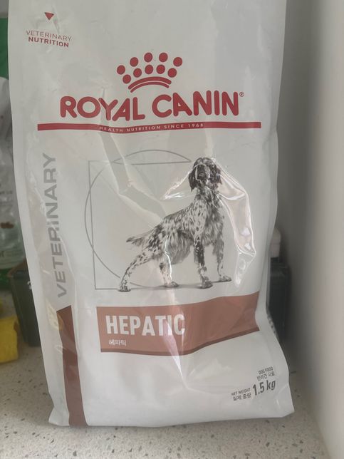 1살 일반 강아지 사료 종류………..의 0번 째 이미지