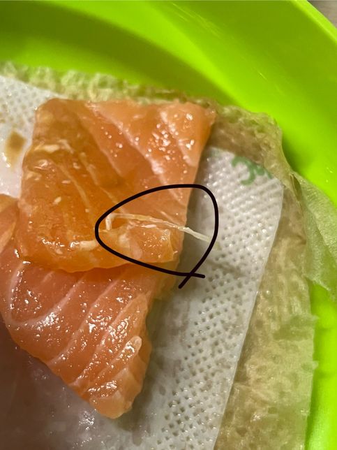 횟감용 연어에서 나왔는데 이게 뭔가요?의 0번 째 이미지
