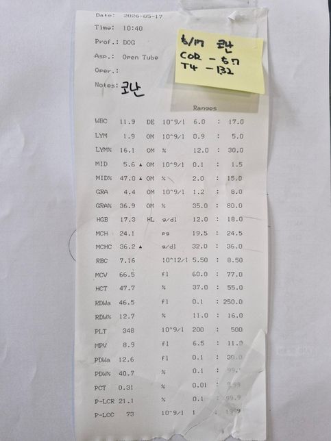 노견 PCR 검사 결과지가 나왔는데요.. 치료 안해도 될정도인지 알고싶습니다.의 1번 째 이미지