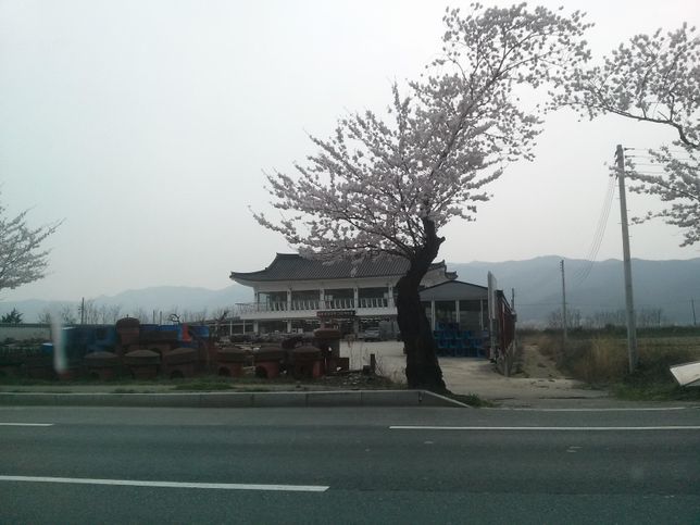 옛날과 달리 요즘 물건이 많은 시대에 사고파는 상술이 오락처럼 변한 이유가 무엇인가요?의 0번 째 이미지