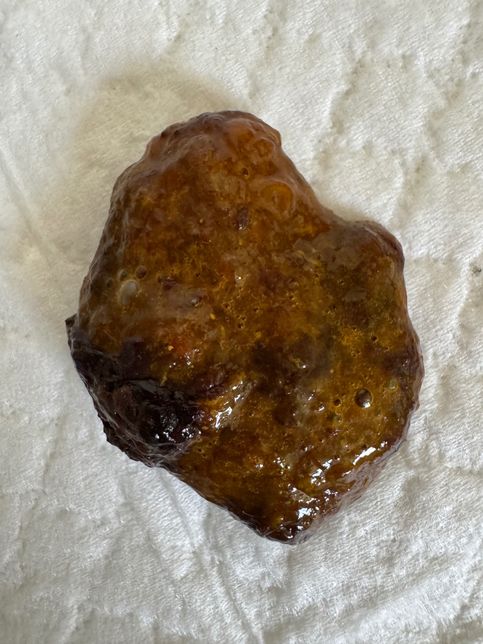 강아지가 점액변 설사를 합니다. 왜 그러는거죠?의 0번 째 이미지