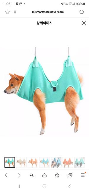 어깨관절아탈구 강아지 미용해먹 사용문의의 2번 째 이미지