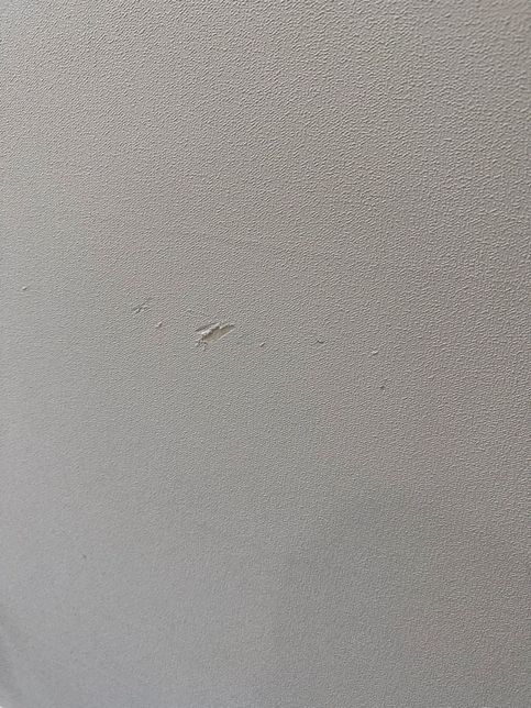 벽지에 스크래치 이거 제가 물어줘야 하나요??의 0번 째 이미지