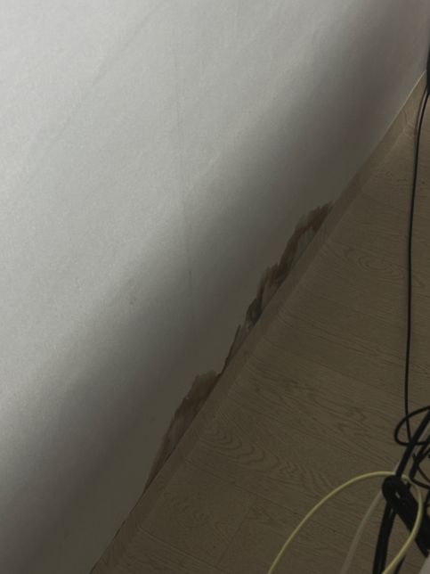 이사온 지 3주됐는데 곰팡이? 같은게 폈어요의 0번 째 이미지