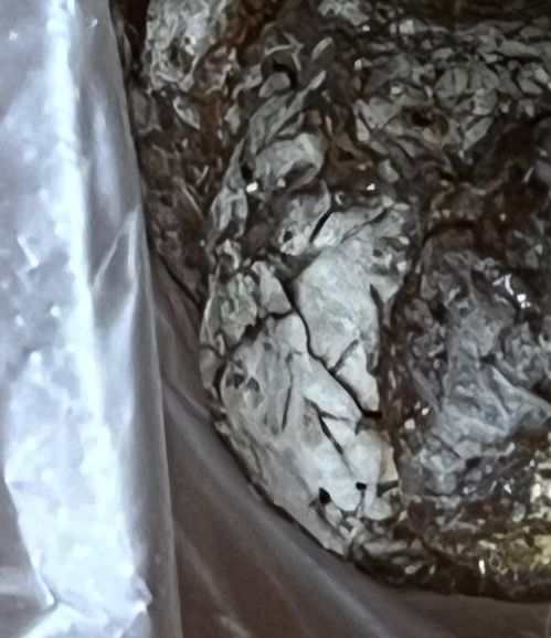 고양이 똥에 흰색이 묻어나옵니다 ..!의 0번 째 이미지