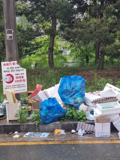 도시의 소공원 옆에 쓰레기를 무단방치하고 있습니다. 시민의식을 묻고 싶습니다.의 0번 째 이미지