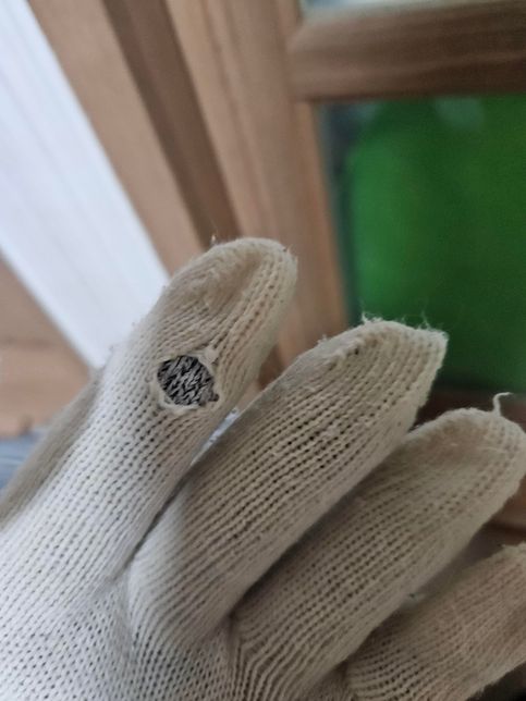 고양이 관한 질문입니다. 너무 부정적으로 읽어주시 않으면 좋겠습니다.의 0번 째 이미지