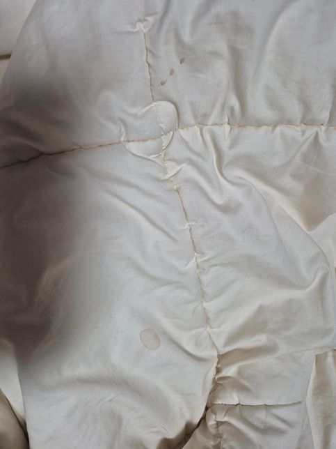 고양이 피오줌 싼거 일까요 출근해야되서 당장병원을 못가요의 1번 째 이미지