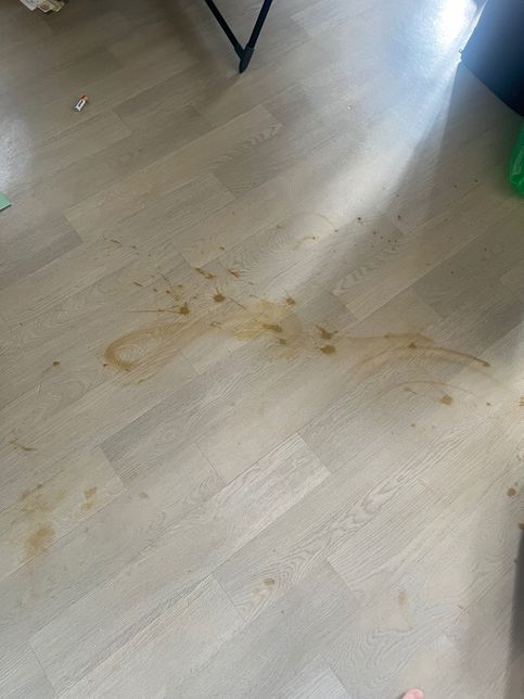 7년째 살다가 이사가려는데 장판 원상복구 하라는 주인의 0번 째 이미지