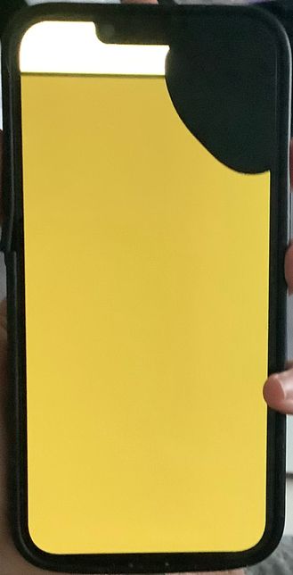 아이폰13 초록색 화면 그거 수리비 얼마나 드나요..의 0번 째 이미지