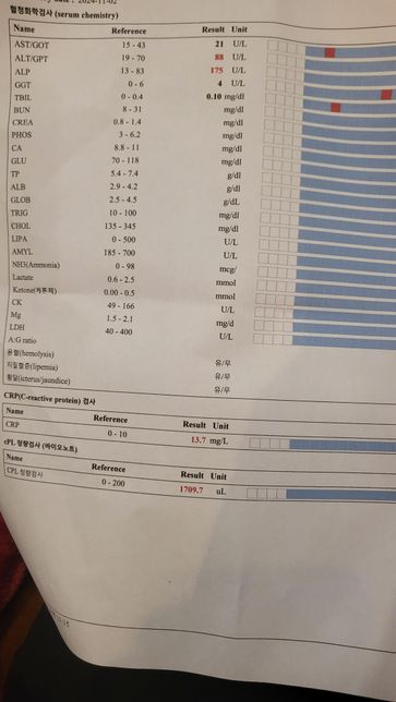 췌장염 입원 후 퇴원, 만성췌장염 관리 문의의 0번 째 이미지