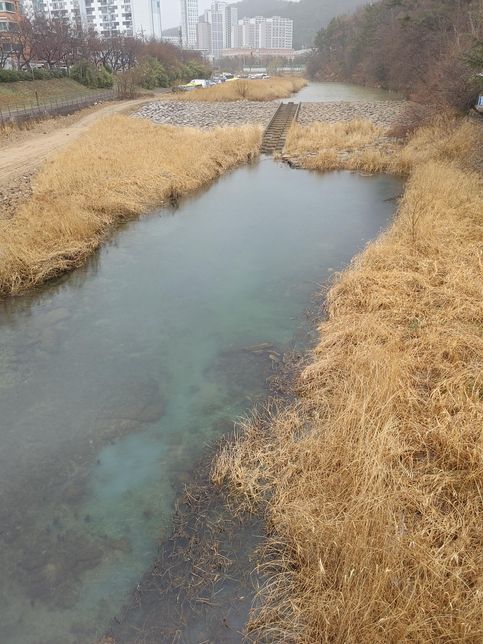 지구온난화로 북극에 얼음이 녹아서 내려간 제트기류 때문에 봄에 꽃샘추위가 길어졌나요?의 0번 째 이미지