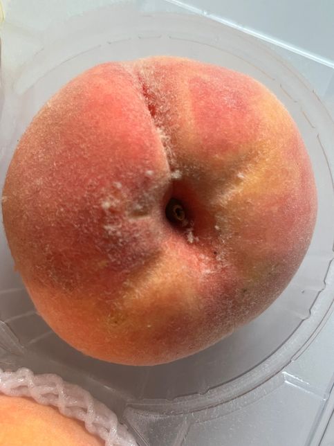 복숭아 곰팡이인지 봐주세요 !!!!의 0번 째 이미지