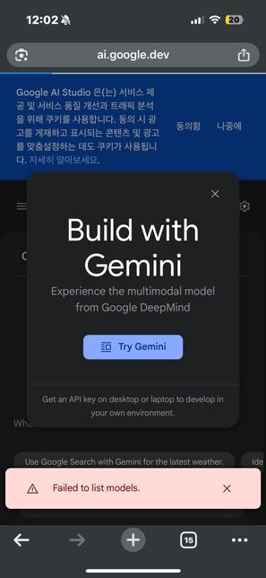 구글 ai studio 얘 왜이러는건가요?의 0번 째 이미지