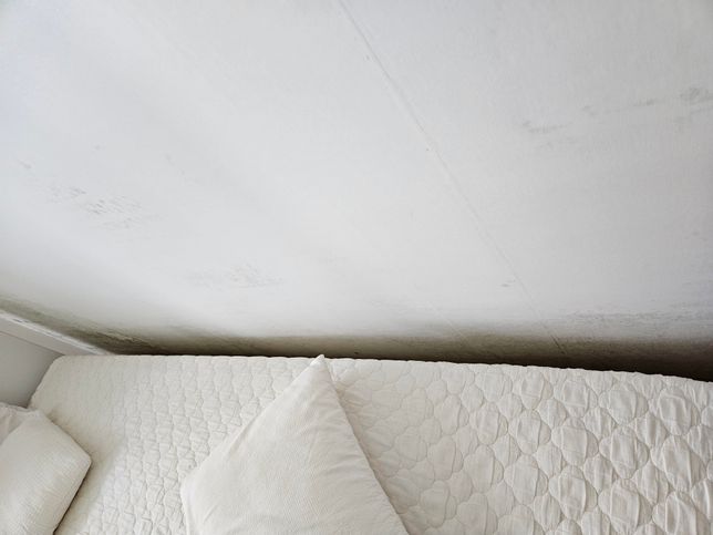 벽에 곰팡이가 생긴거같은데 왜그런걸까요?의 1번 째 이미지