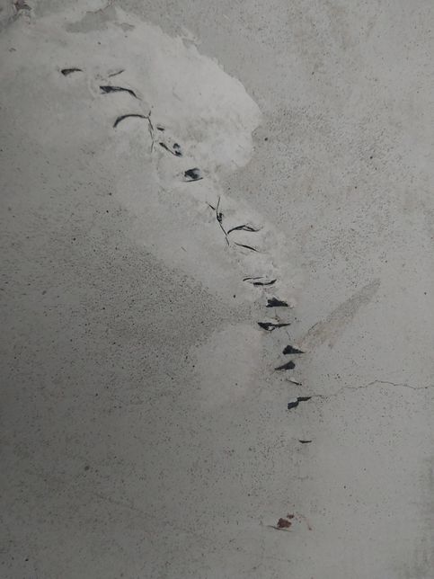 보일러 하자로 인한 확인서를 작성해서 받으려고 하는데 어떻게 하면 될까요?의 0번 째 이미지