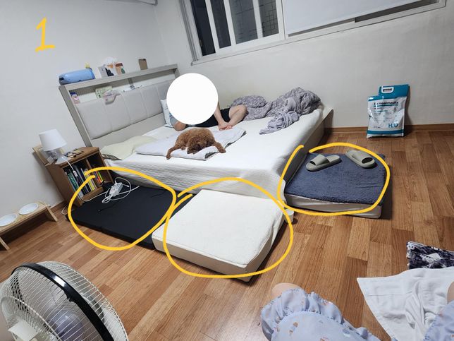 강아지 관절문제 예방 매트 문의 및 추천 요청의 0번 째 이미지