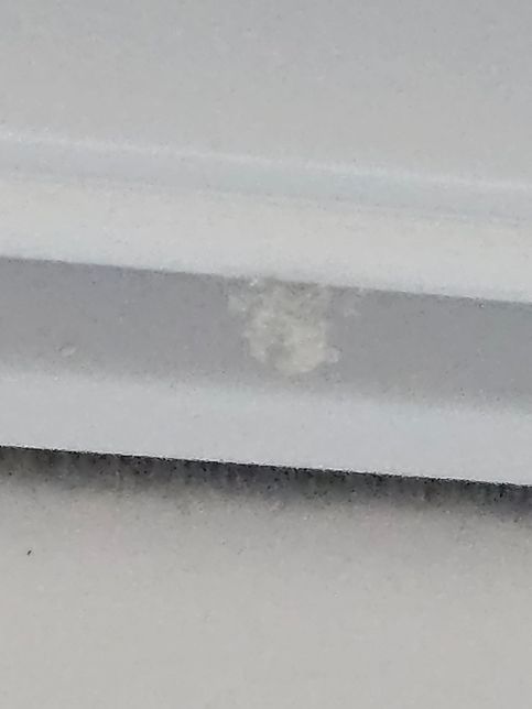 이 벌레들은 대체 무슨 벌레 인가요??의 0번 째 이미지