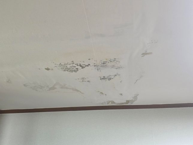 집 천장에서 물이 새는데 집주인은 마이너한 문제래요 어떻게하면 좋을까요?의 0번 째 이미지