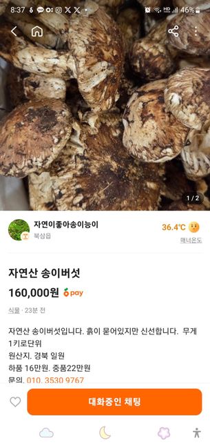 당근마켓 영업방해 신고 문의드립니다 !!의 0번 째 이미지