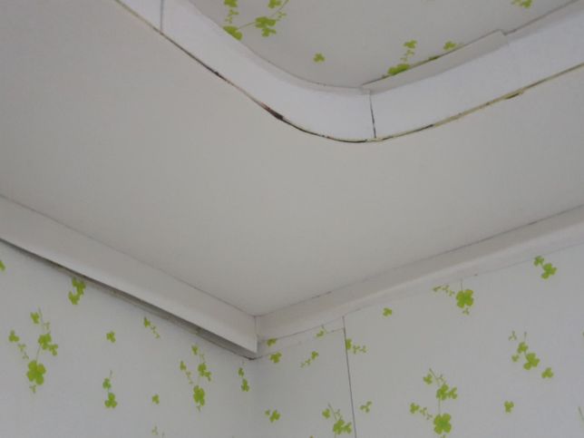 시골 주택인데 방 어디서 벌레가 생기는 걸까요?의 0번 째 이미지