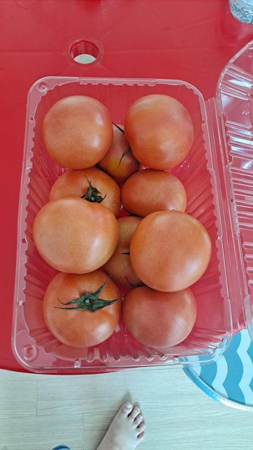 과일식단에 대해서 질문올립니다~~~~의 0번 째 이미지