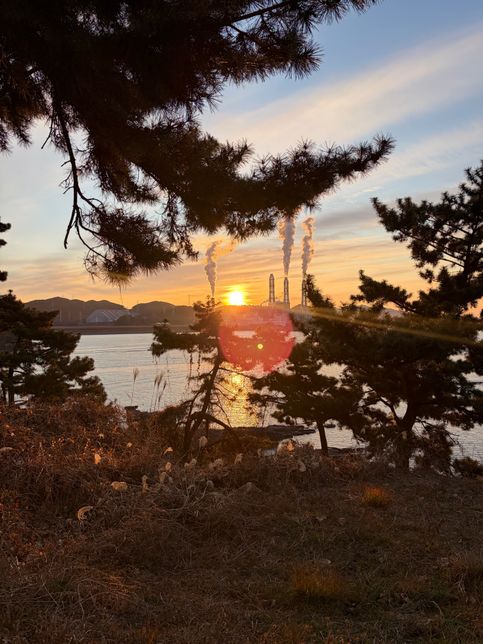 아이폰 17 카메라 이상함 빨간원 샹김의 2번 째 이미지