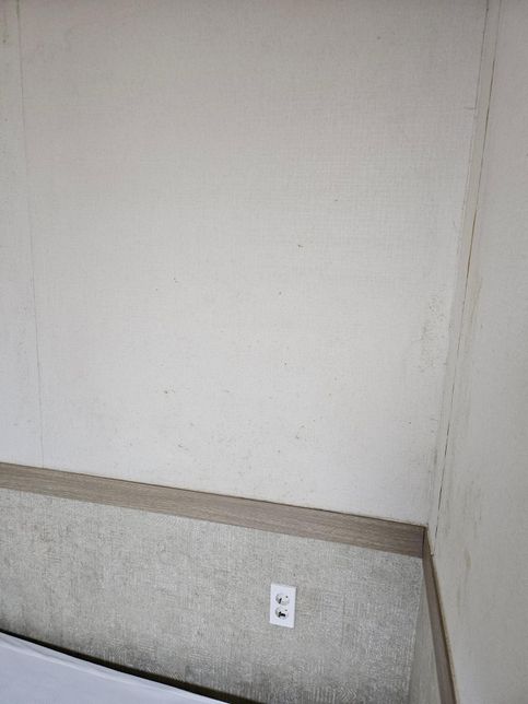 임대차계약 만료 벽지 곰팡이 원상복구 비용에 관해서의 1번 째 이미지