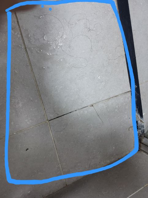 개인이 화장실 타일 보수나 설치 가능할까요?의 1번 째 이미지