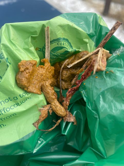 이거 혈변일까요? (강아지 응가사진 주의)의 0번 째 이미지