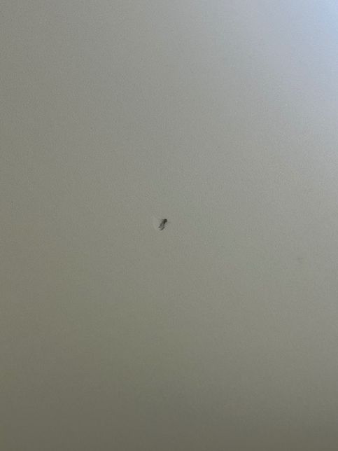 천장 보수 비용 및 셀프 시공 가능 여부 궁금해요의 0번 째 이미지