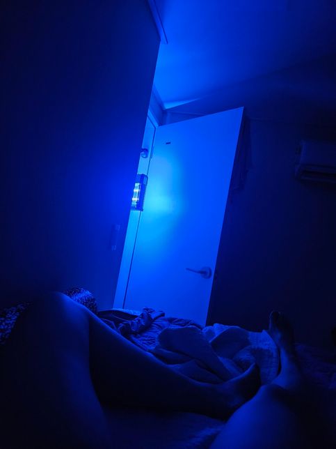 모기퇴치기를 구매했는데, 고양이 눈에 괜찮을까요?의 2번 째 이미지