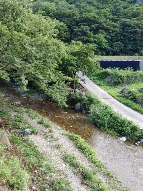 시골에 폐가와 시멘트 바닥들이 왜 세월이 지나도 쓰레기만 쌓인 채 아무렇지도 않게 방치되어있나요?의 3번 째 이미지