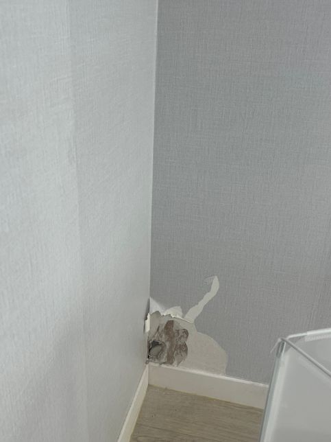 전세집 퇴실할 때 원상복구 가능한 분 계신가요?의 0번 째 이미지