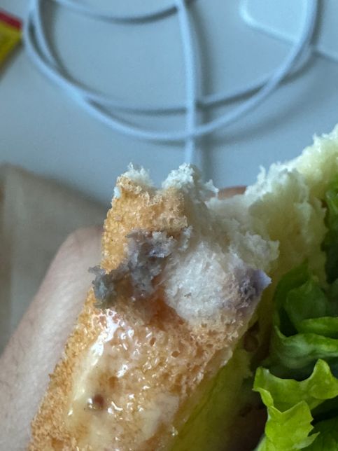 샌드위치 빵 곰팡이 인지 봐주세요!!의 2번 째 이미지