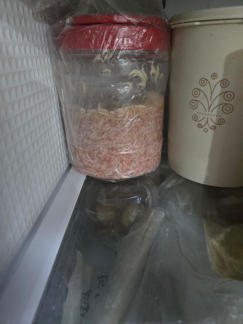 새우젓 김치 냉장고에 보관하고 있어요의 0번 째 이미지