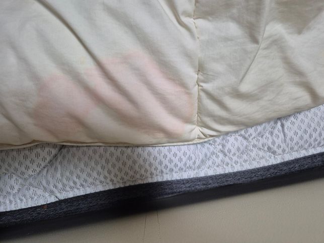 고양이 피오줌 싼거 일까요 출근해야되서 당장병원을 못가요의 0번 째 이미지