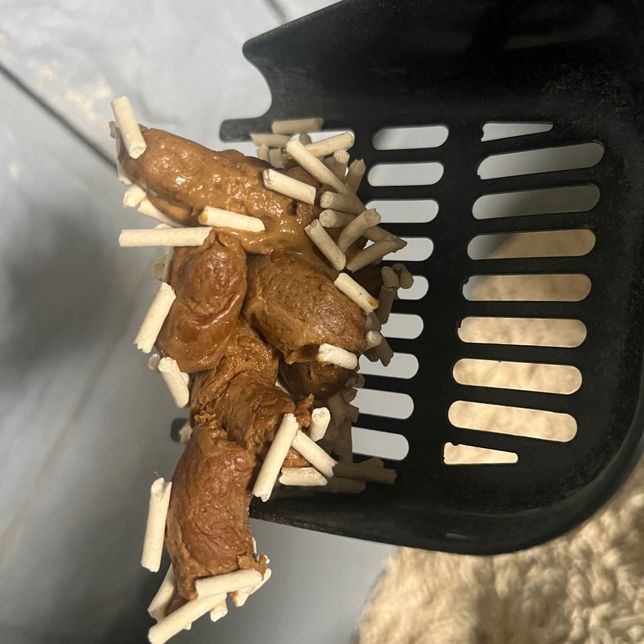 4개월 고양이 변상태 어떤가요???의 0번 째 이미지