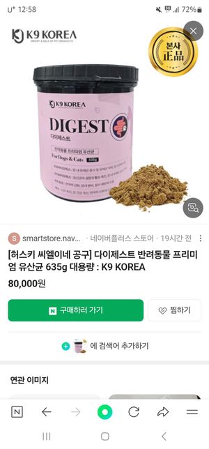 강아지가 토를 했는데 원인이 뭘까요?의 1번 째 이미지