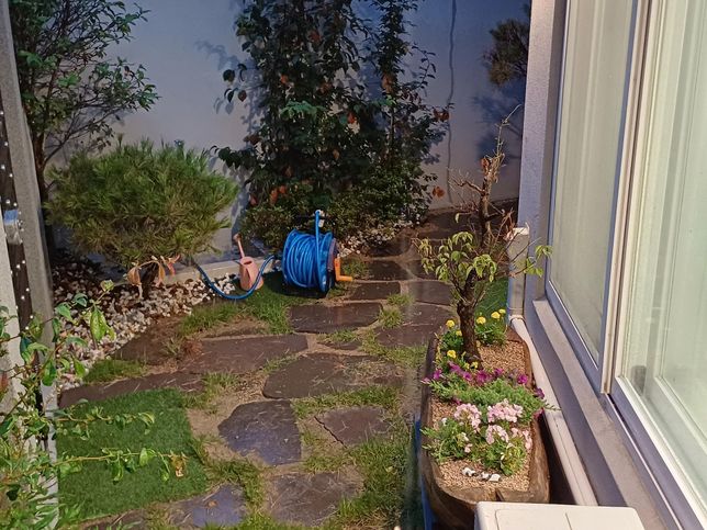 마당에 나무에 병충해가 들었어요ㅠ 도와주세요의 0번 째 이미지