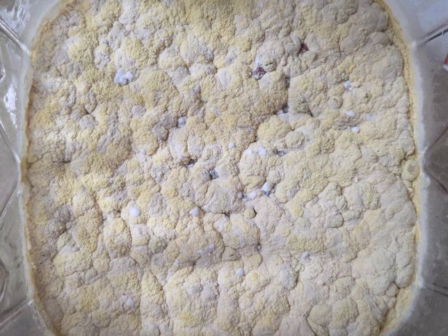 보리수 효소 곰팡이가 핀듯 한데요 먹을수 있는것인가요?의 1번 째 이미지