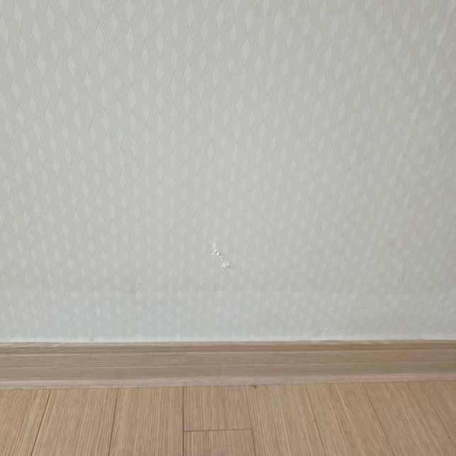 지급명령 신청하려고 하는데요 이의신청가능여부요의 2번 째 이미지