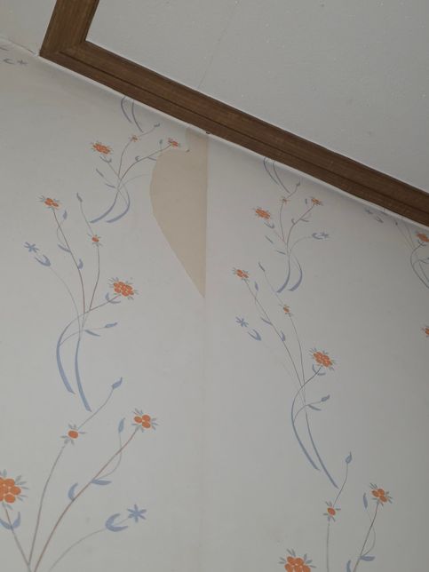 실크벽지인지 일반벽지인지 뭔지 아시는 분의 0번 째 이미지