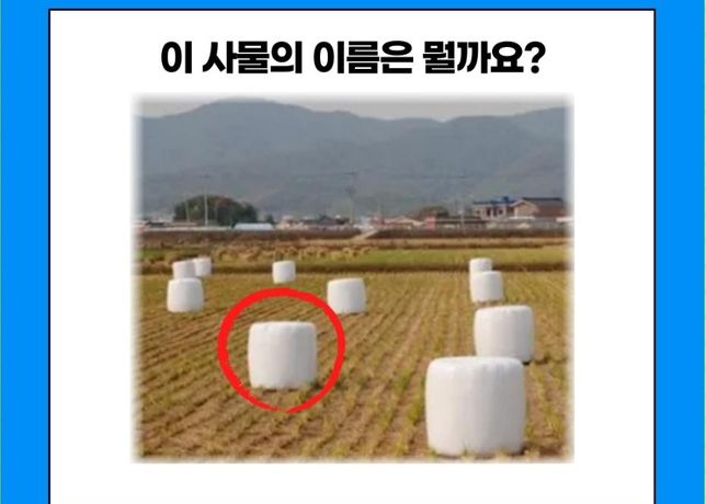 이 물건의 정식명칭을 알고 싮은데요.의 0번 째 이미지