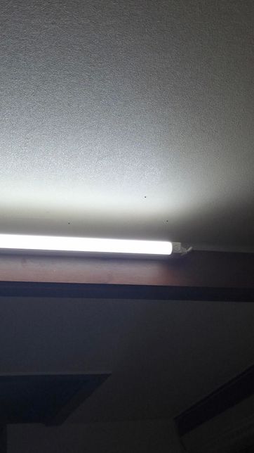 벌레 이름이랑 퇴치법 아시는 분 제발 좀 도와주세요.의 2번 째 이미지