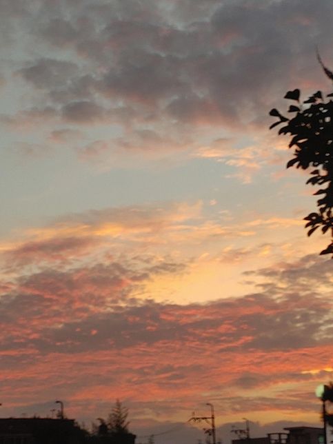 나쁜 행동을 해서 쌓인 코티솔은 결국 신체적 병이 된다면 비만이나 출혈로 죽을 수도 있나요?의 1번 째 이미지