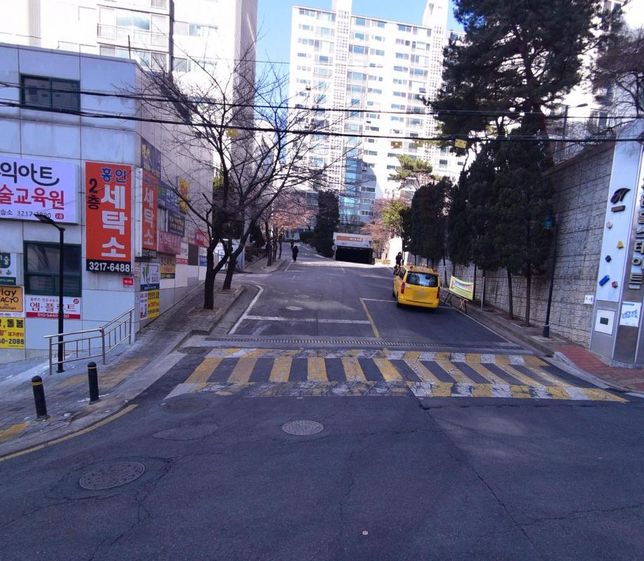 교통사고로 인해 한순간에 강아지가 죽었습니다의 1번 째 이미지